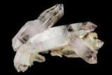 Amethyst Crystal Cluster - Las Vigas, Mexico #165658-1